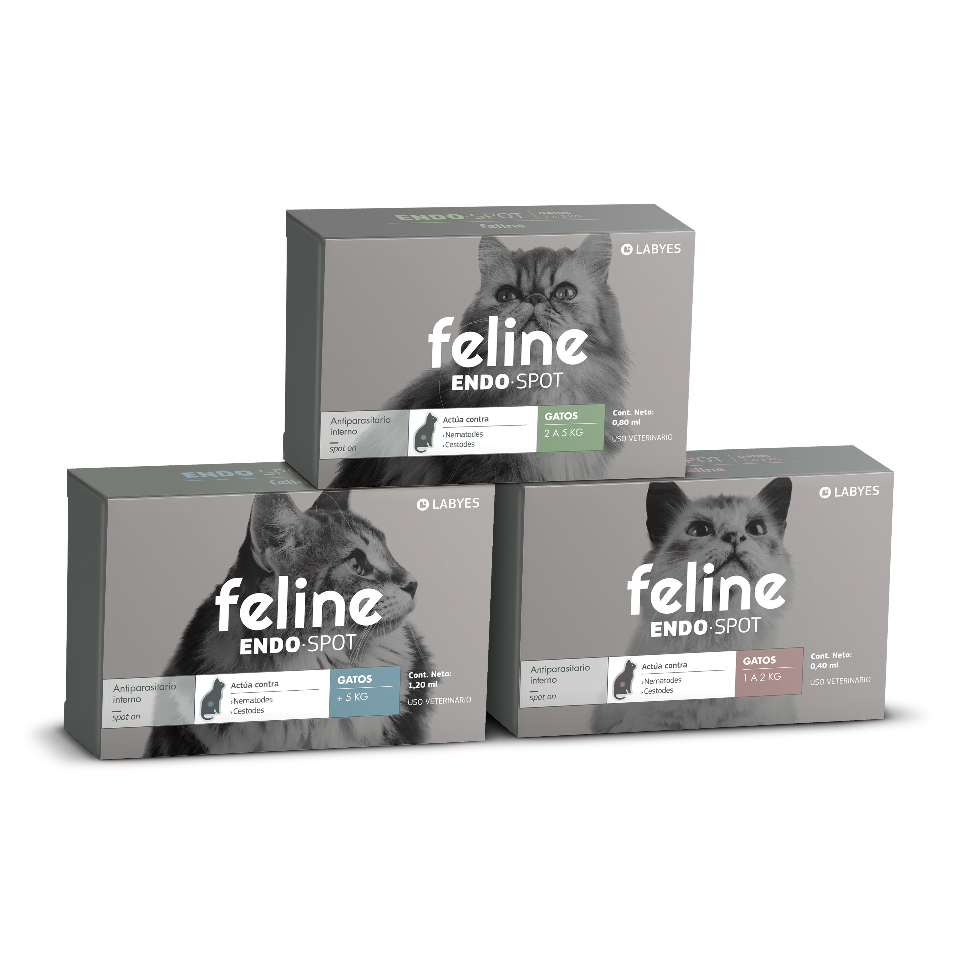 Feline Endo Spot Bodegon