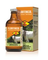 Florfenicol